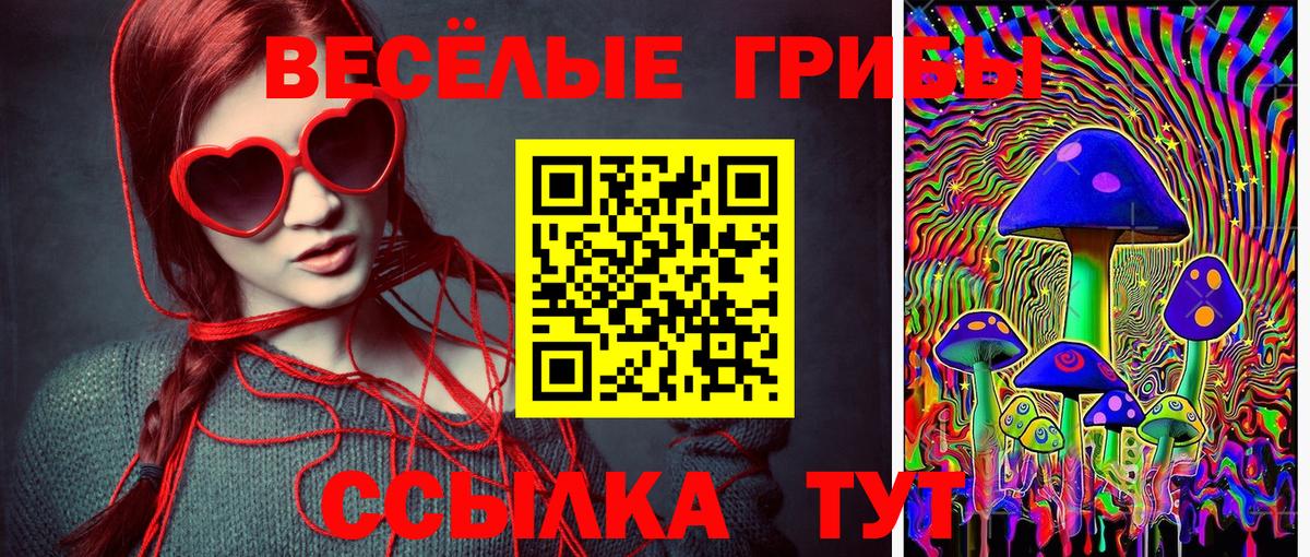 Красногорск  Псилоцибиновые грибы GOLDEN TEACHER  Вход с VPN  Псилоцибиновые грибы Magic Shrooms 