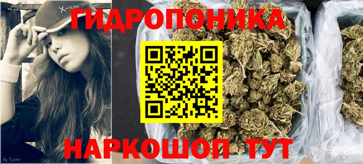 Красногорск  Конопля THC 21%  Шишки марихуана планчик  Марихуана LSD WEED  Вход с VPN 